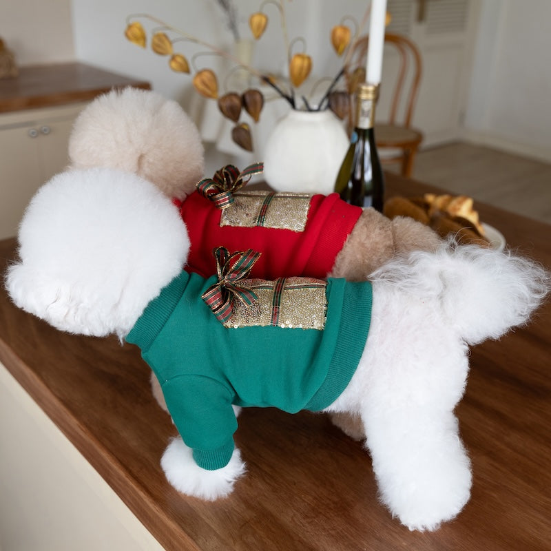 Christmas Gift Pattern Dog Cat Hoodie